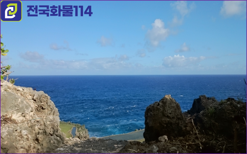 제주화물을 이용해 제주도 한달 살기 필요한 물품,박스 운송이 궁금한가요-16