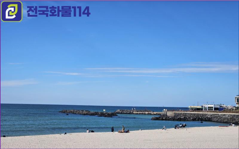 제주화물을 이용해 제주도 한달 살기 필요한 물품,박스 운송이 궁금한가요-17