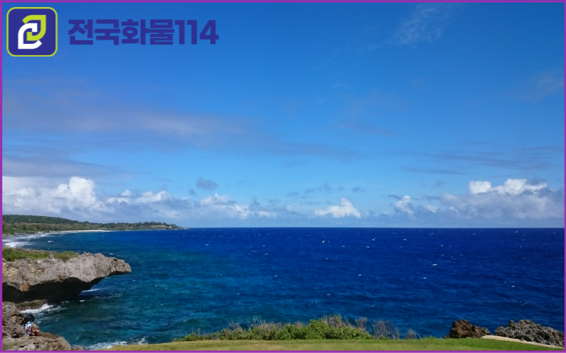 제주화물을 이용해 제주도 한달 살기 필요한 물품,박스 운송이 궁금한가요-2