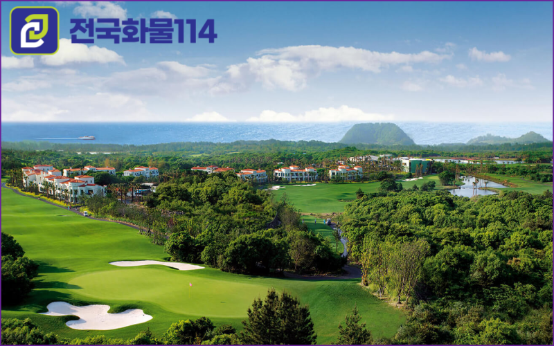 제주화물을 이용해 제주도 한달 살기 필요한 물품,박스 운송이 궁금한가요-3